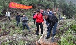 南安梅山镇爆料事件最新,真相追踪与社区反响